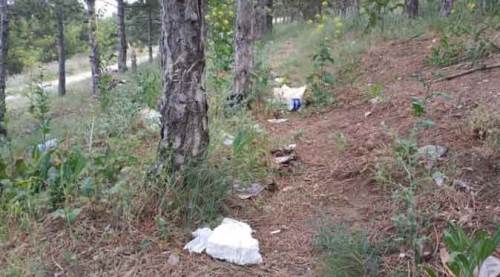 Eskişehir'de bu katliama artık son verilmeli!