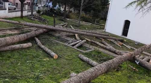 Eskişehir'de bu manzara gündem oldu: Neden kesildiler?