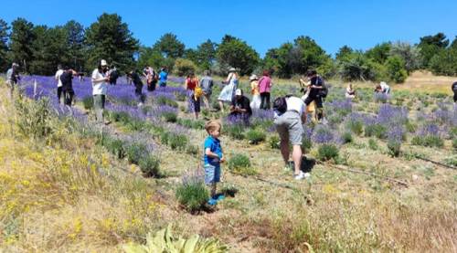 Eskişehir'de bu nokta fotoğrafçı akınına uğruyor