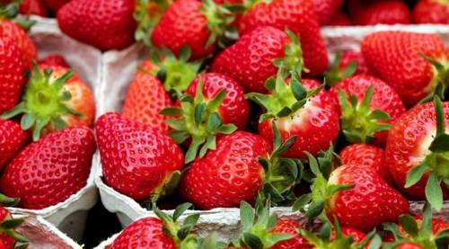 Eskişehir'de bu şenlik dolu dolu geçecek