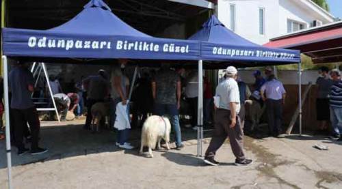 Eskişehir'de bu uygulama tam not aldı!