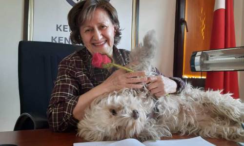 Eskişehir de bu yasayı kabul etmiyor: Sokak hayvanları uyutulmasın!