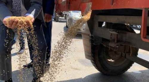 Eskişehir’de bu yıl iki katı fiyattan satıldı!