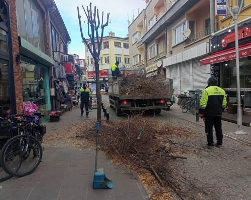 Eskişehir'de budama çalışmaları hız kesmiyor