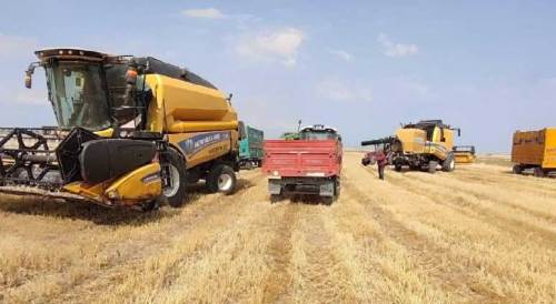 Eskişehir’de buğday hasadına başlandı