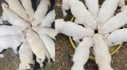 Eskişehir'de bugün bu görüntü paylaşılıyor