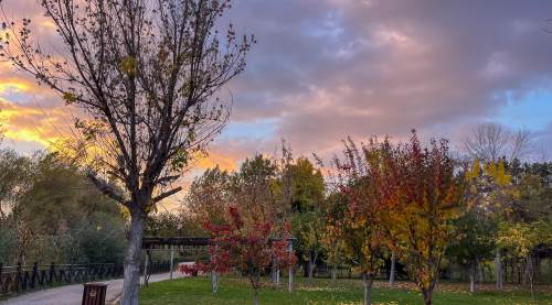 Eskişehir’de bugün hava parçalı bulutlu ve ılık geçecek