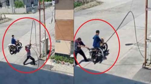 Eskişehir'de bunu da gördük: Güpegündüz, kimseden korkmadan...