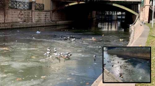 Eskişehir'de bunu yapanlar içimizde