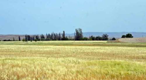 Eskişehir'de büyük kaygı uyandıran görüntü...