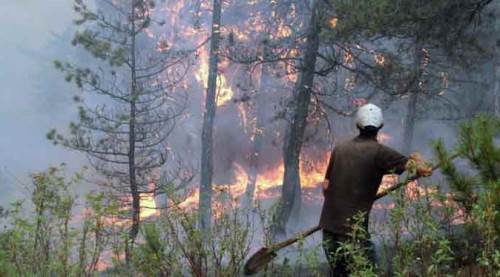 Eskişehir'de büyük yangın sürüyor: Sebebi belli oldu