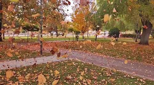 Eskişehir’de büyüleyen sonbahar masalı!