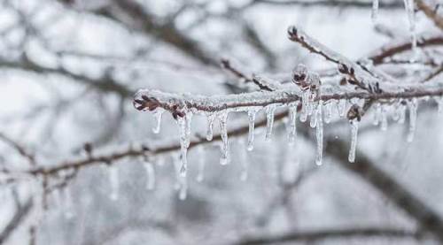 Eskişehir'de buzlanmaya ve düşük sıcaklıklara dikkat!