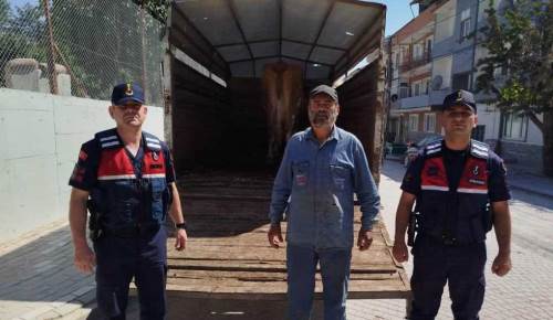 Eskişehir'de çalınan büyükbaşlardan biri Bilecik'ten çıktı