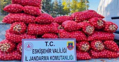 Eskişehir'de çalıp Sakarya'ya kaçtılar!