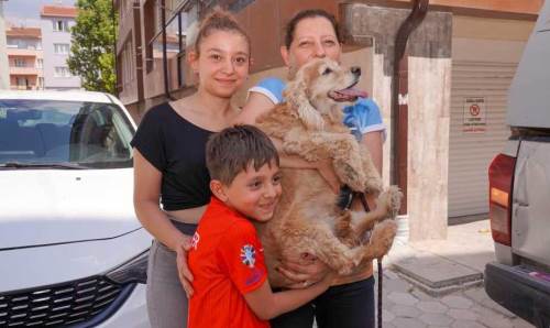 Eskişehir'de can dostlar yeni yuvalarını buldular!