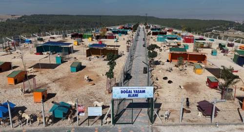 Eskişehir’de can dostlara modern yuva: Hayvan Bakımevi yükseliyor