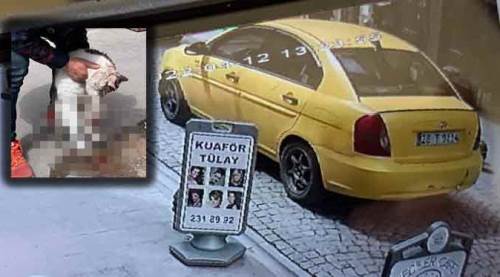 Eskişehir'de çarpıp öldürdü, ardına bile bakmadan kaçtı!