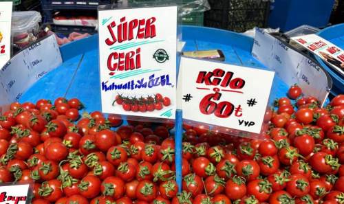 Eskişehir'de çeri domatesin kilosu 60 TL’yi buldu!