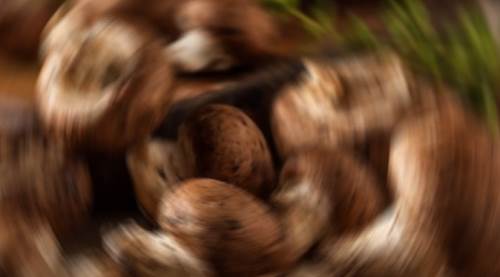 Eskişehir'de çeşit çeşit satılıyor: Et yiyemeyen kaçırmasın!