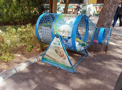 Eskişehir'de çevre bilinci ve hayvanseverlik bir araya geldi!