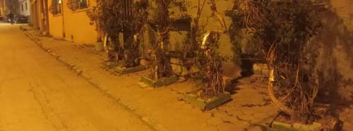 Eskişehir’de çevre düzenlemesi dikkat çekti