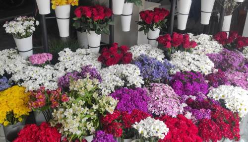 Eskişehir'de çiçek fiyatlarına zam üstüne zam!