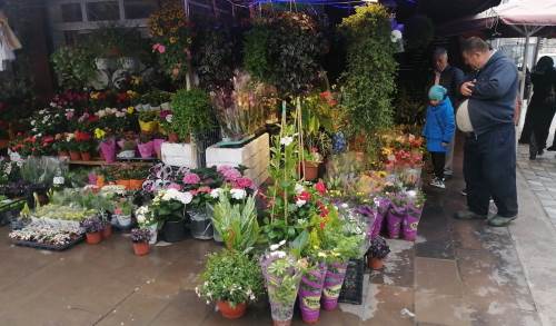 Eskişehir'de çiçekçiler "Anneler Günü" için hazır