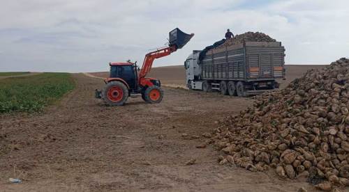 Eskişehir'de çiftçi üretti, fabrika aldı… Peki para nerede?