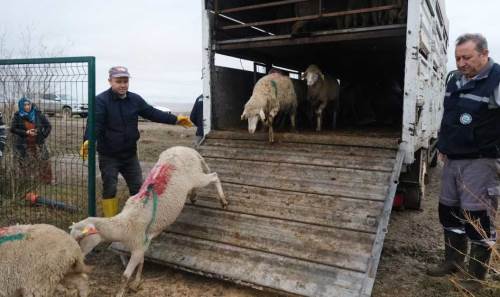 Eskişehir'de çiftçilere teslim edildi: "Büyükerşen bizi unutmadı"