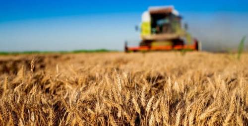 Eskişehir'de çiftçinin yüzünü güldürecek proje!