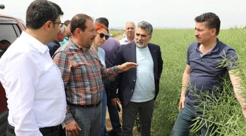 Eskişehir'de çiftçinin yüzünü güldüren proje