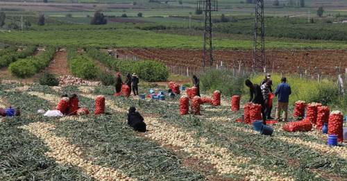 Eskişehir'de çiftçiye destek müjdesi!