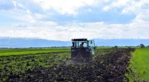 Eskişehir'de çiftçiye müjdeli haber! Artış sağlandı...