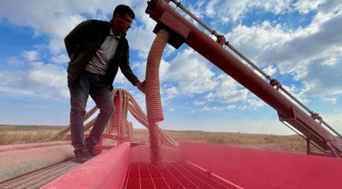 Eskişehir'de çiftçiye ulaştı: Yeni hedef 3 ton... 