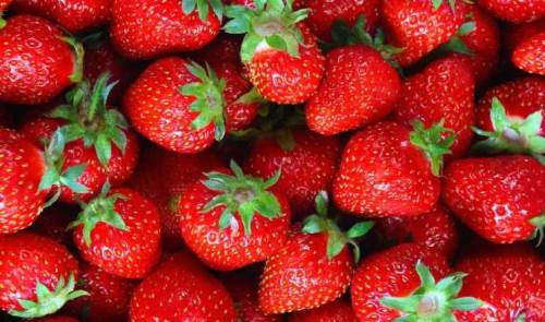 Eskişehir'de çilek fiyatları ne kadar?