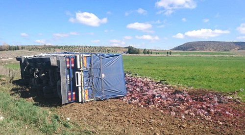 Eskişehir'de çilek yüklü tır devrildi