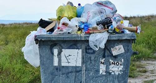 Eskişehir'de çirkin saldırıyı yapan kaçamadı: Çöpe atmıştı!