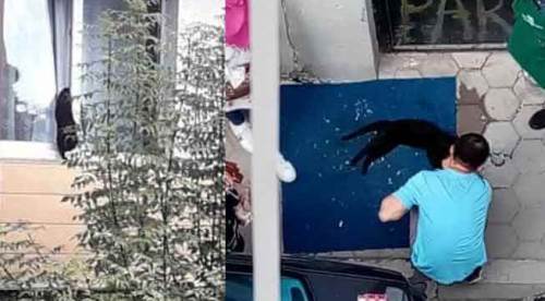 Eskişehir'de çırpına çırpına can verdi!