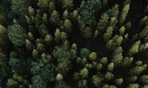 Eskişehir'de çocuklar şehirden uzaklaştı