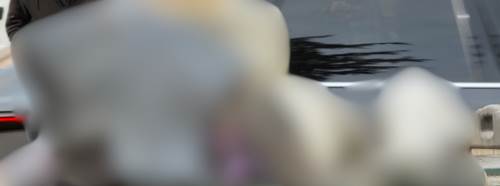 Eskişehir’de çöp konteynerinde ilginç manzara: Gören dönüp bir daha baktı!