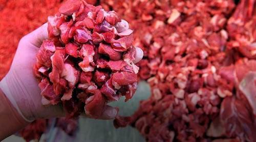 Eskişehir'de çözümü açıkladı: Yapılmazsa kırmızı et fiyatları... 