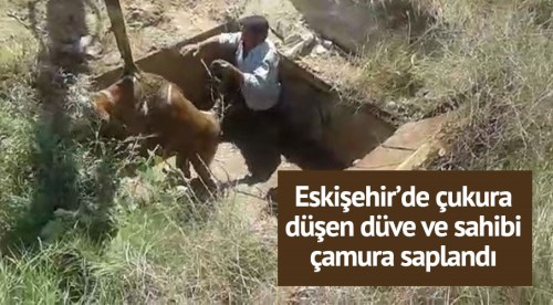 Eskişehir'de çukura düşen düve ve sahibi kurtarıldı