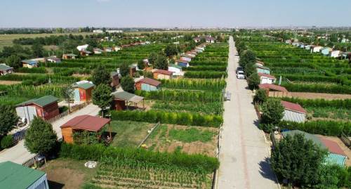 Eskişehir'de de çok var: Hobi değil ucuz konut