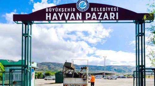 Eskişehir'de de hayvan pazarı kapatıldı! Flaş duyuru...