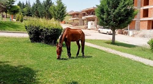 Eskişehir'de değişmeyen görüntü...