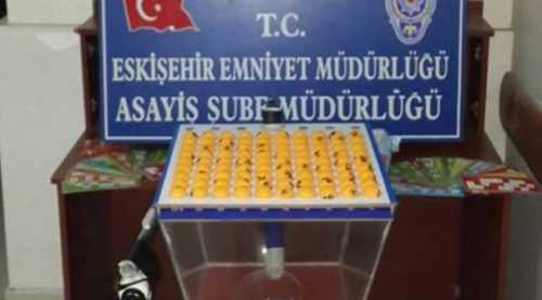 Eskişehir'de derneğe tombala baskını