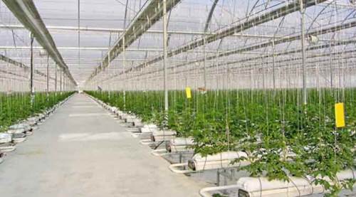 Eskişehir'de dev destek: 7 milyon liraya kadar...