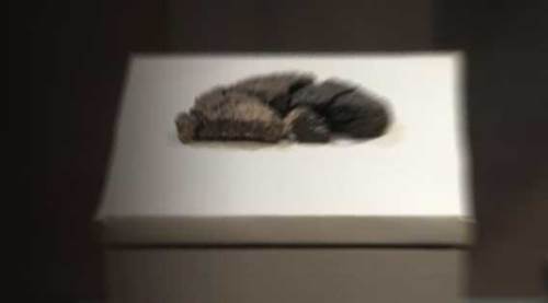 Eskişehir'de dev keşif: 5 bin yıllık mucize çıktı...