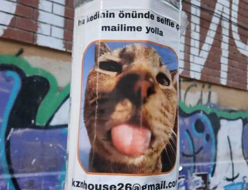 Eskişehir’de dikkat çeken afiş: “Selfie çek, 1000 TL kazan!”